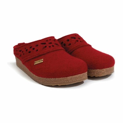 Haflinger outlet hot sale